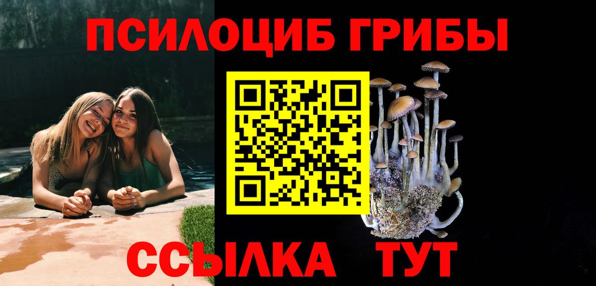 Галлюциногенные грибы Psilocybine cubensis Чита
